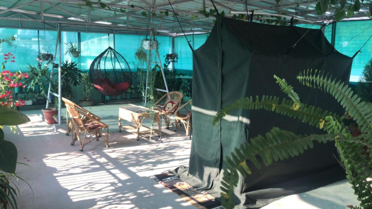 9Backpackers Hostel Dehradun Exterior photo